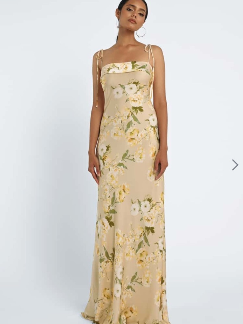 NWT Jenny Yoo Landry Print Dress